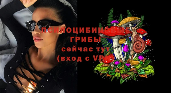 мяу мяу мука Куйбышев